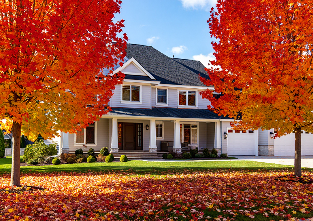 Fall!