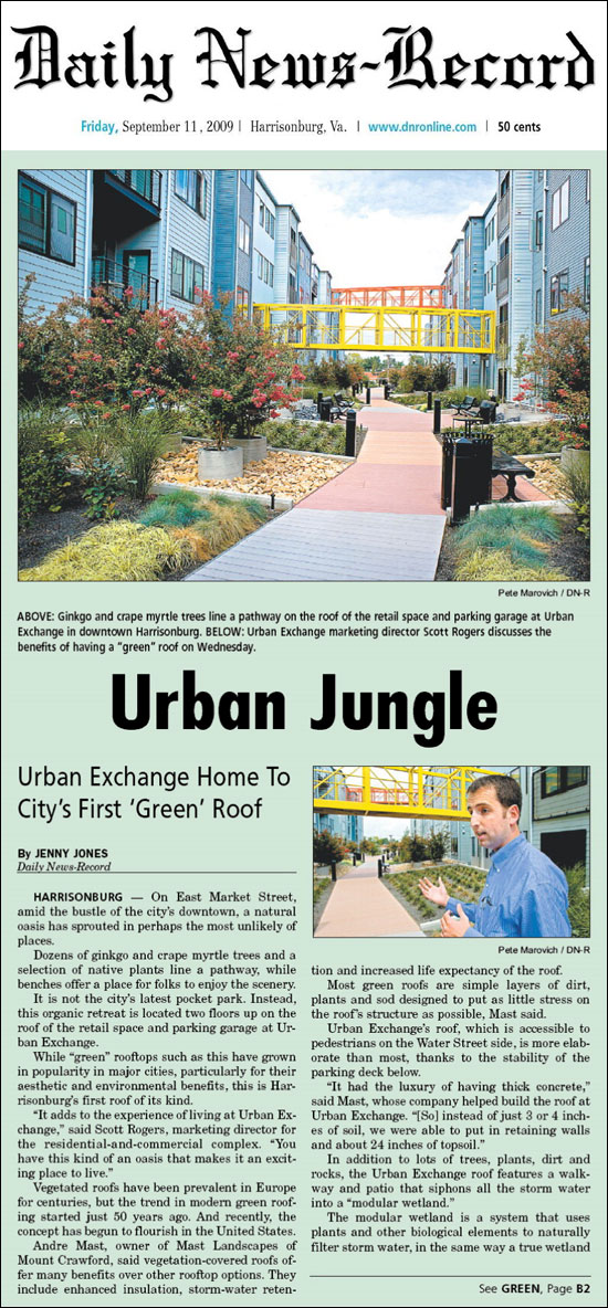 Urban Jungle