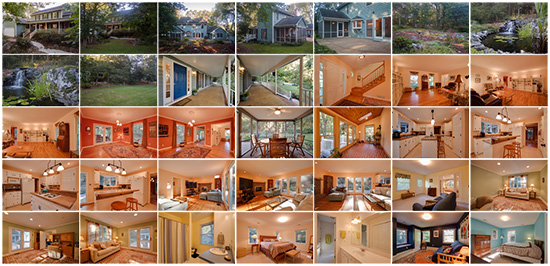 950 Turkey Run Road