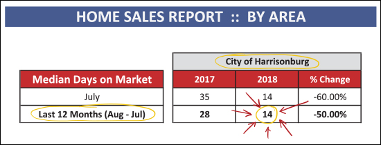 Monthly Market Report