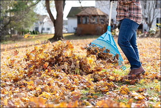 Raking Leaves