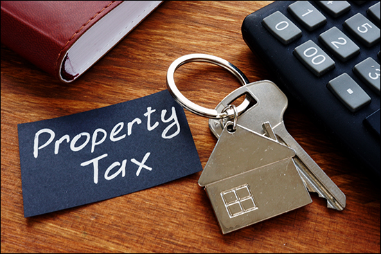 Property Taxes