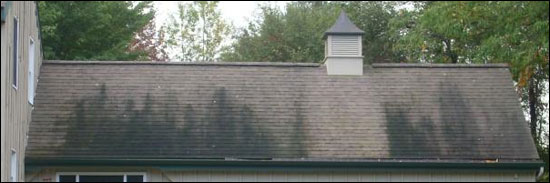 Roof Stains
