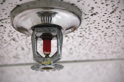 Fire Sprinkler