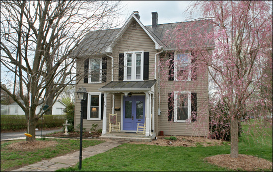 Trees in front of your house?