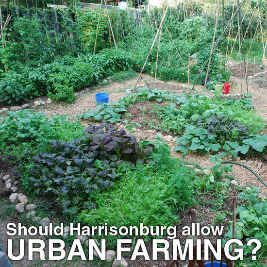 Should Harrisonburg allow Urban Farming? Should Harrisonburg allow Urban Farming?